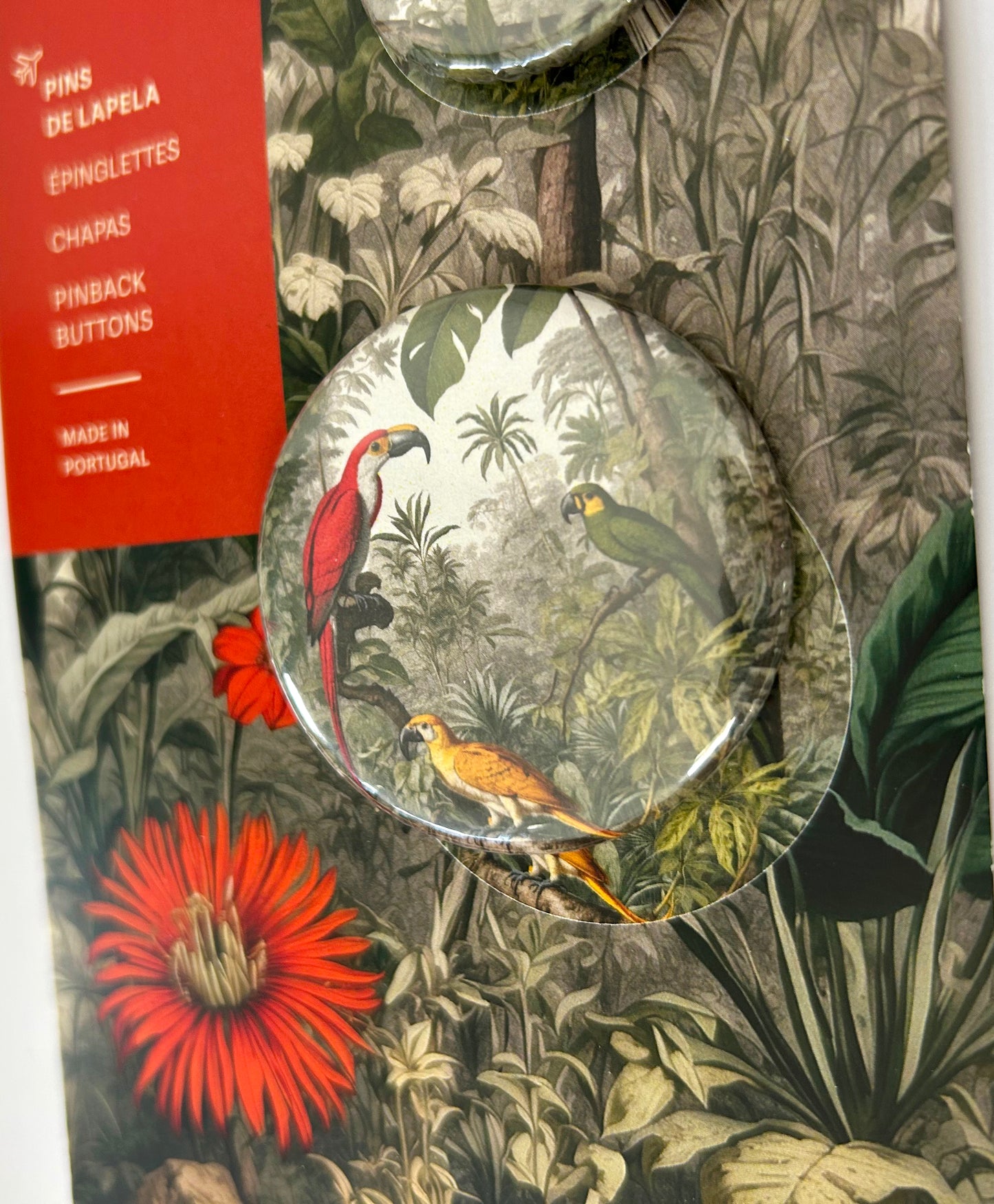 Conjunto Pins de Lapela Ilustração Natureza