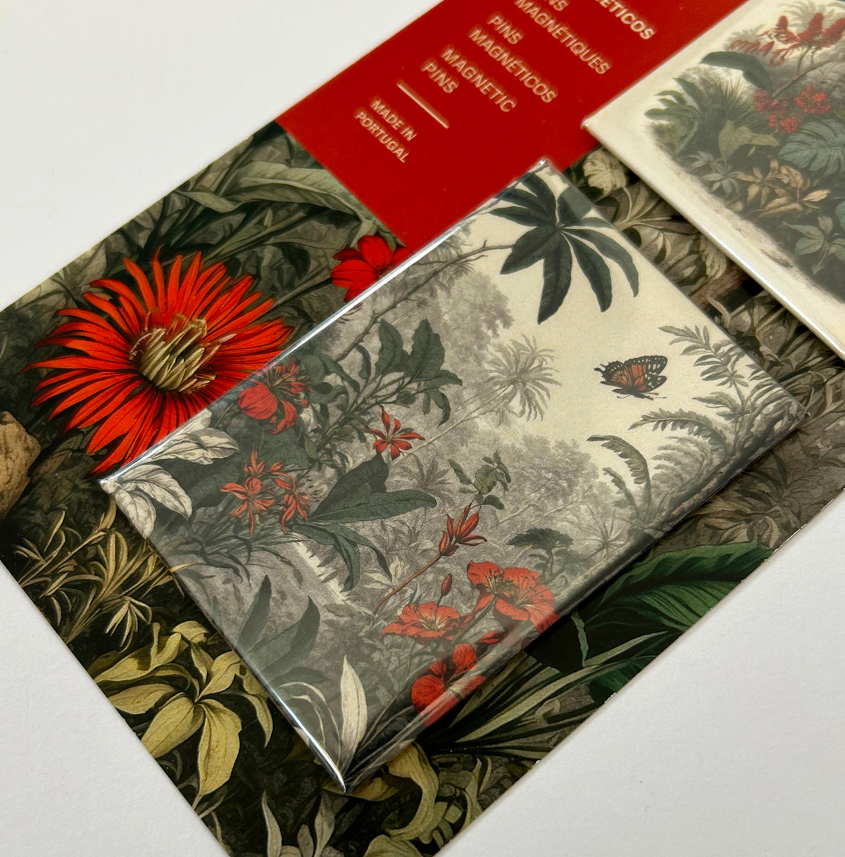Conjunto de ímanes Ilustração Natureza