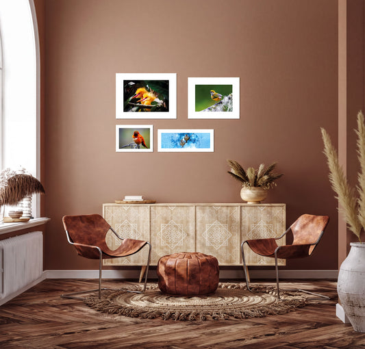 a cozy living room with a brown leather chair, a wooden sideboard, and a round ottoman. The room has a warm, earthy color scheme with a large window and a potted plant. There are four framed pictures on the wall, including a vibrant bird image, a blue and white bird image, and two other images.