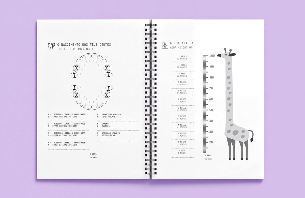 The image is a spiral-bound notebook with a page on the left side featuring a diagram of a tooth and text providing information about the size of teeth. The page on the right side has a height chart with a giraffe illustration and numerical measurements indicating the height of the giraffe in centimeters.