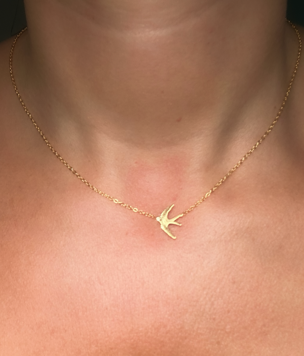 Colares vários modelos