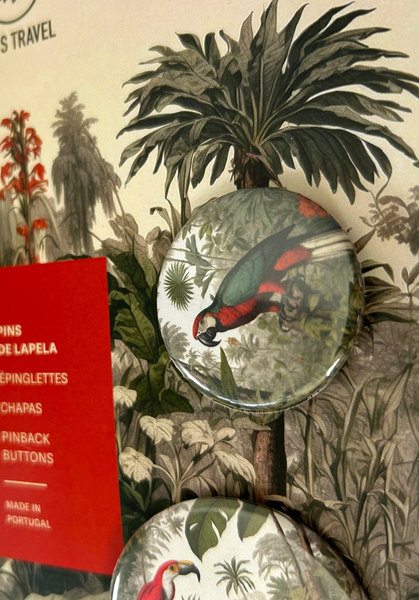 Conjunto Pins de Lapela Ilustração Natureza