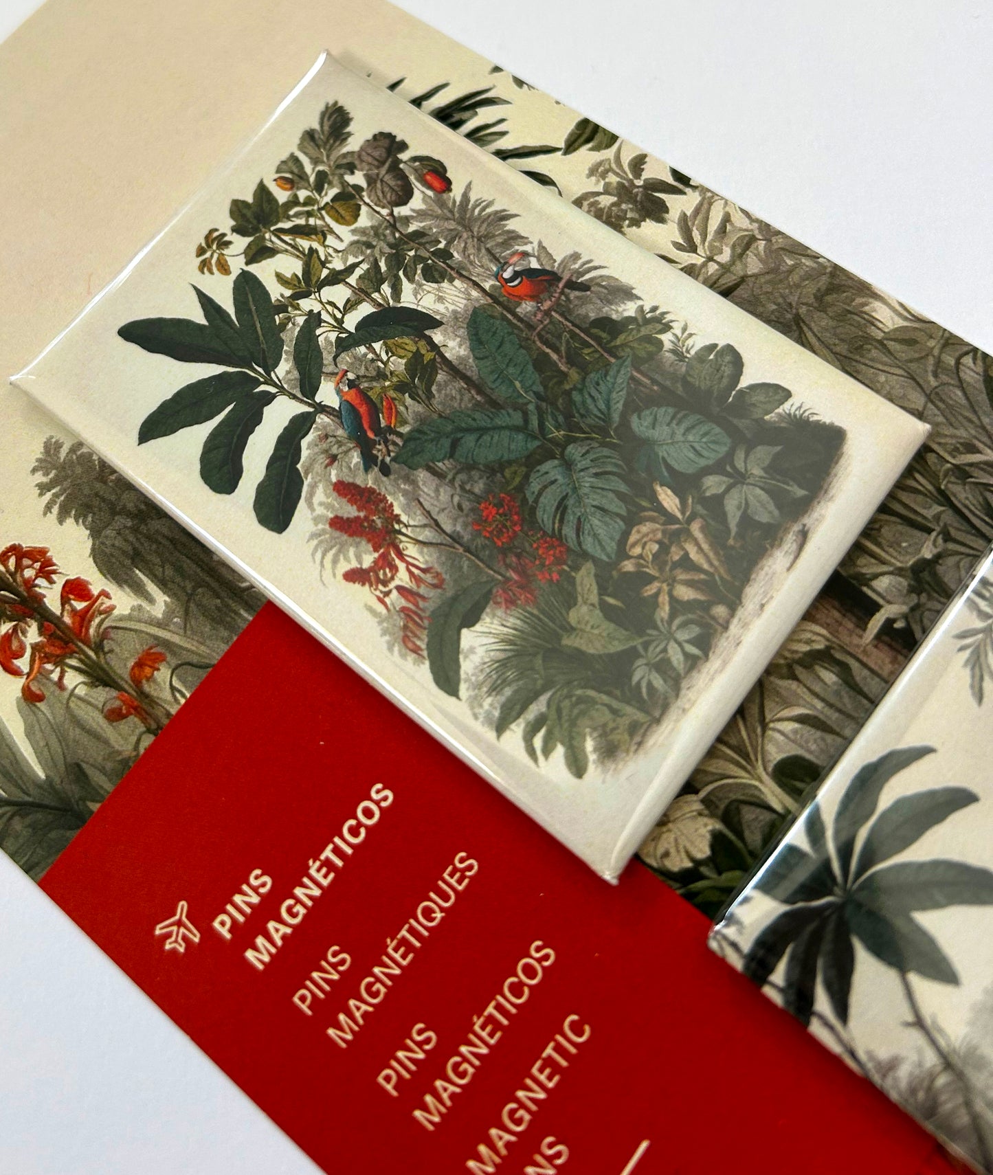 Conjunto de ímanes Ilustração Natureza