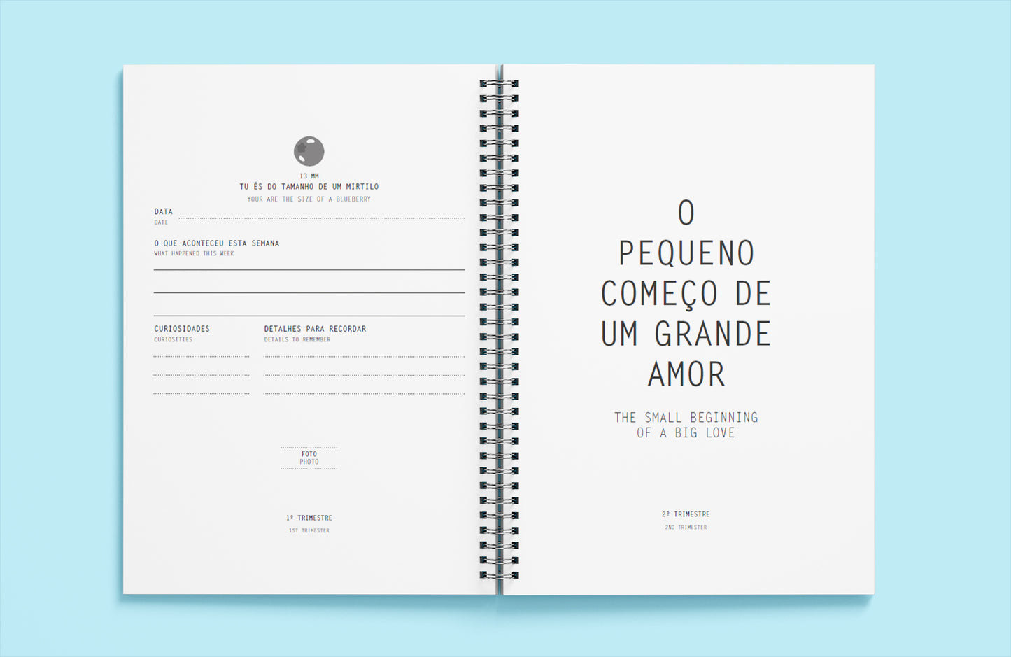 A Tua Pequena História