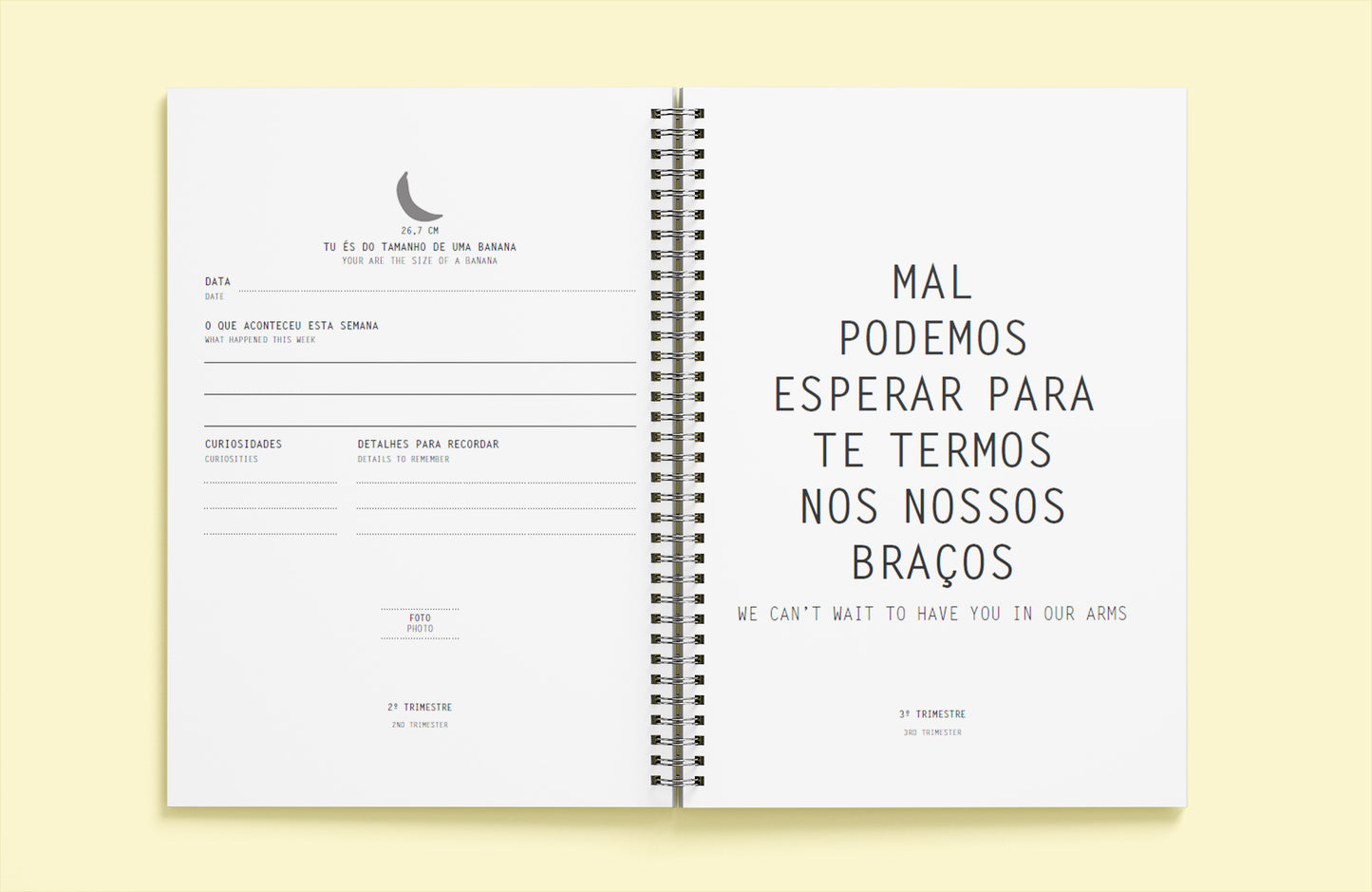 A Tua Pequena História