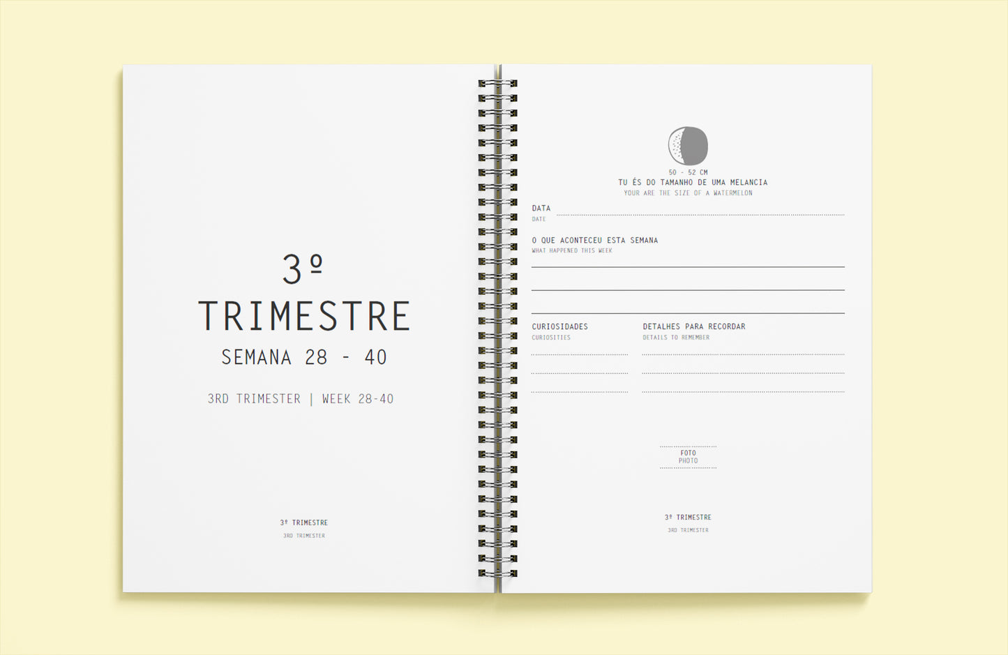 A Tua Pequena História